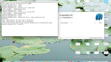 PostgreSQL The data directory contains an old postmaster.pid file