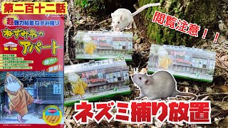 【第二百十二話】閲覧注意！！山の中でネズミ捕りを１日放置してみたらとんでもないことになった！！