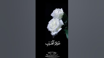 صباح الخير🤍حالات واتساب مقاطع قصيره🤍قران كريم سورة الحشرهوالله الذي لااله الا هو🤍امير القراءالمنشاوي