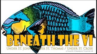 Moray Eel (spotted) eats Lion Fish