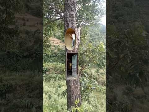 فيديو: مجتمع منزل شجرة مذهل تم بناؤه في كوستاريكا