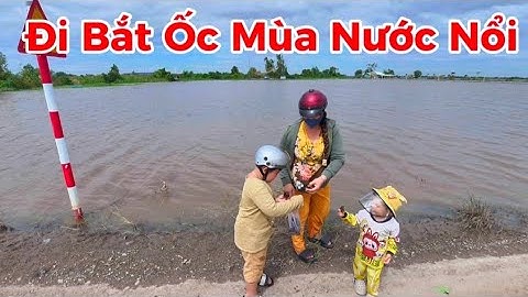 Cả Gia Đình Đi Bắt Ốc Mùa Nước Nổi " Ninh Điền Tây Ninh