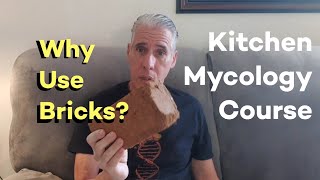 Why You Need To Use Coco Coir Bricks