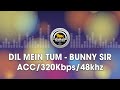 Dil mein tum  bunny sir