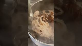 False Morel - an edible delicacy? 🍄☠️