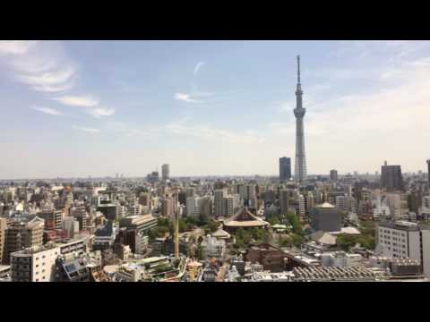 Panduan Wisata Pemula Tokyo (Kanto, Kamakura, Japan Travel)