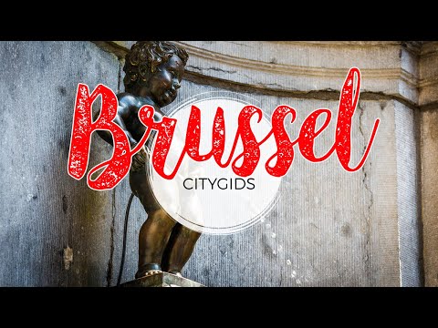 Video: Brussels België Reisgids