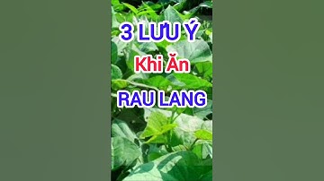3 Lưu Ý Khi Ăn Rau Lang #dinhduong #health #suckhoe
