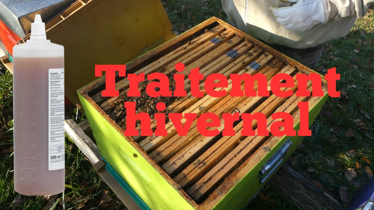 S05E35 | Acide Oxalique. La fenêtre idéale