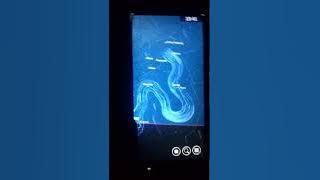 Star Gazing through an app | twinkling stars | star gazing | Night sky