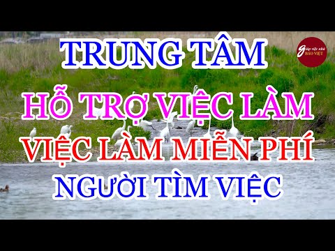 Video Trung Tâm Hỗ Trợ Việc Làm | Việc Làm Miễn Phí, Người... - youtube