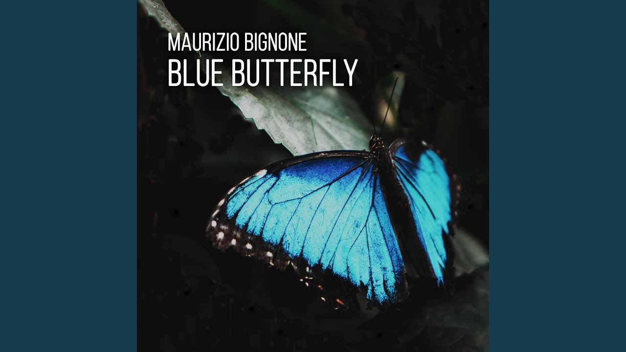 Blue Butterfly