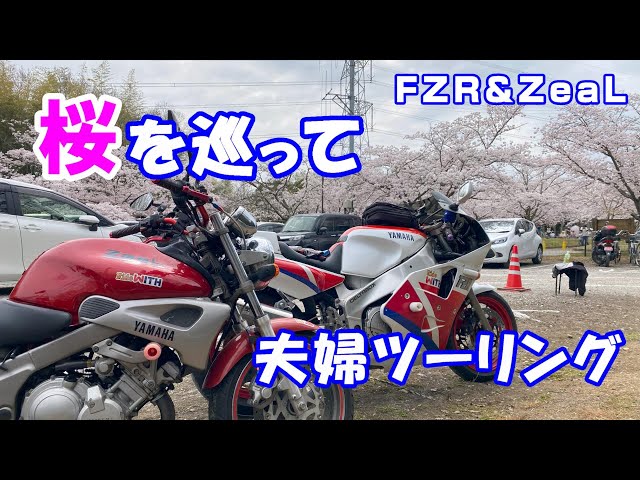 お花見バイクツーリング FZR1000＆ジール - YouTube