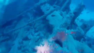 Mallorca diving with Big Blue Diving