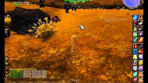 WoW Quest: All of the Arrows