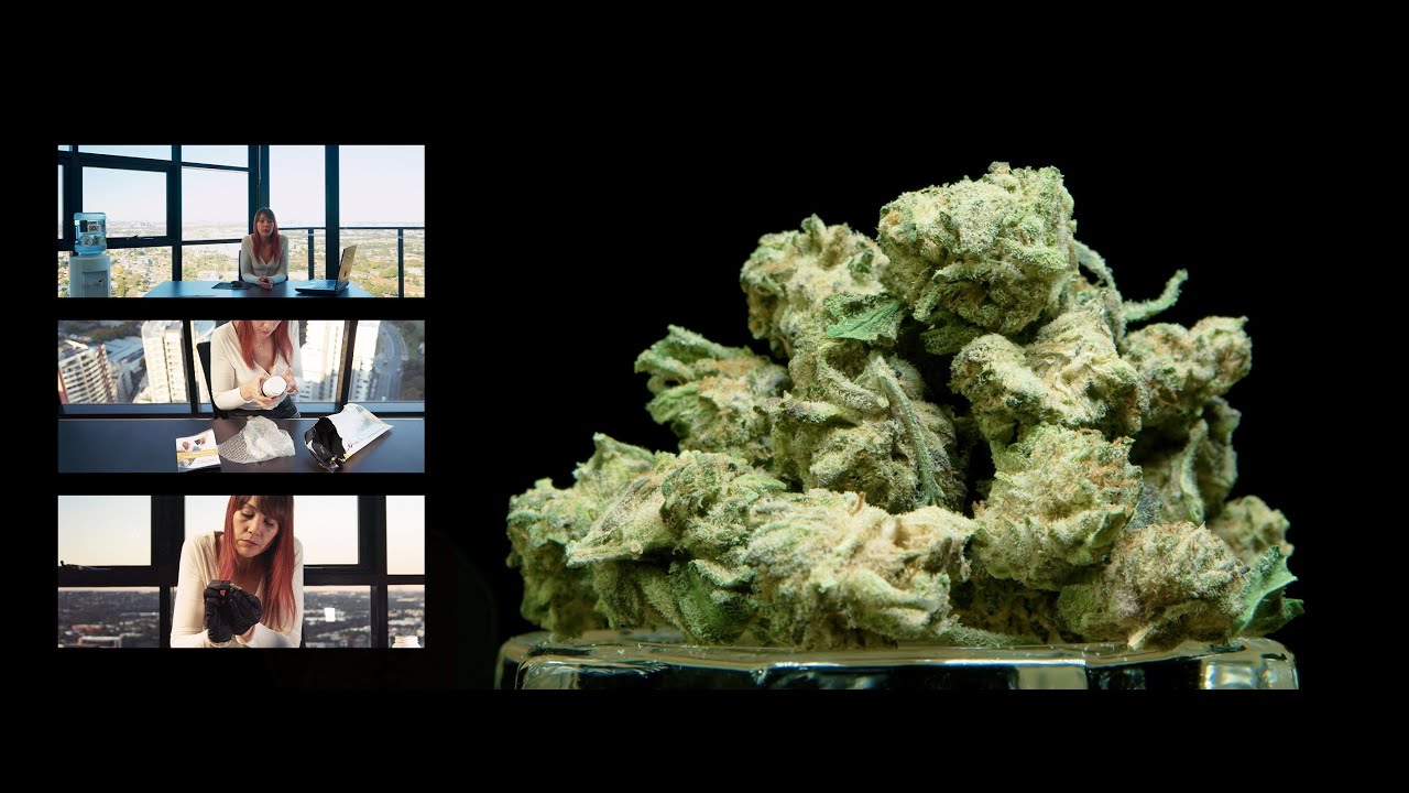 30% THC: Under 1% CBD Indica - From Criminal To Patient In Australia Part 2