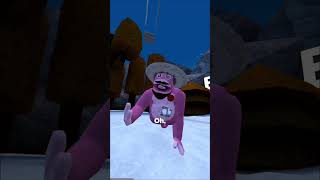 5 Hiding Spots inside of #animalrivals #vr