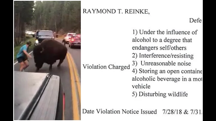 Reinke facing several charges after "bison-tauntin...