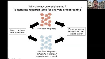 Chromosome engineering to restore disomy in 8p iPS cells.