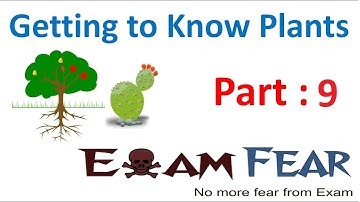 Biology Getting to Know Plants Part 9 (Veins & Venation : Parallel & reticulated) Class 6 VI