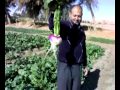 منتجات مزرعة شركة فوسفات مصر