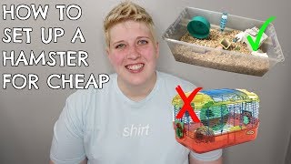 HOW TO SET UP A HAMSTER CAGE ON A BUDGET
