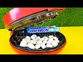 Experiment !! Waffle maker VS Mentos