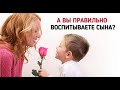 Отношение женщины к своим сыновьям. Не нужно ее толкать туда куда она и сама пойдет.