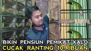 JUALAN BURUNG APA JUAL PERMEN  !! TERNYATA BEGINI... CUCAK RANTING 10 RIBUAN DI PASAR BURUNG PRAMUKA