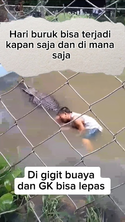 Orang di gigit buaya #viralshorts