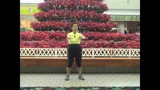 Luk Tung Kuen Chinese Exercise Kahala Mall, Honolulu Hawaii everydaytaichi lucy chu