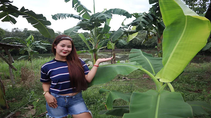 Thessalonica 1.5 Hectare Banana and Coconut Farm w...