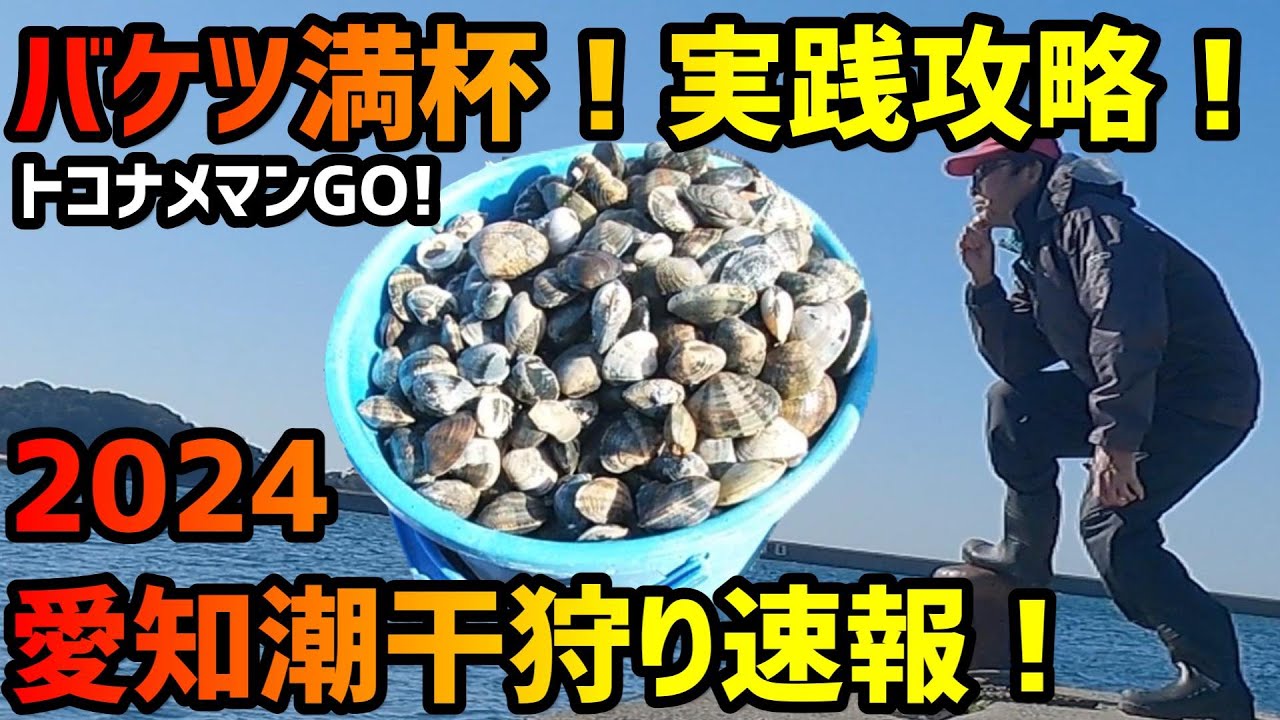 【2024年愛知潮干狩り速報】　無人島潮干狩り【沖島】　バケツ満杯実践攻略！