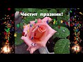Честит ИМЕН ДЕН New Nameday Angels Holiday Congratulations празник картичка поздравление Честит ИМЕН ДЕН New Nameday Angels Holiday Congratulations празник картичка поздравление