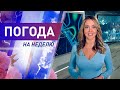 Погода на неделю с 3 по 9 августа 2020. Прогноз погоды. Беларусь | Метеогид