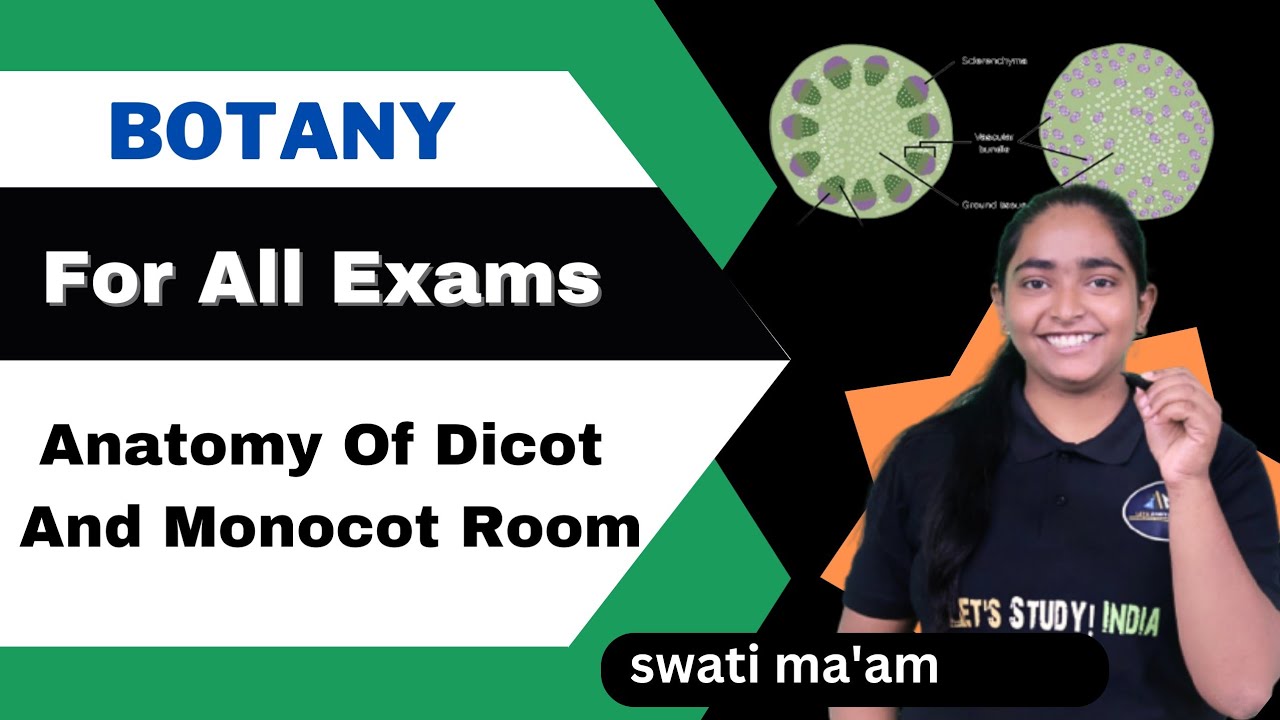 Anatomy Of Dicot And Monocot Root | B.Sc. Botany 2nd Semester | Swati Ma'am |