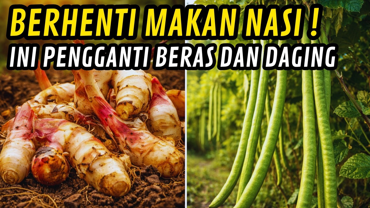 Indonesia Sudah Punya Pengganti Beras & Daging… Kenapa Kita Tak Pakai?!