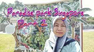 Nur ikhtiar jalan di paradise park Singapore Agustus 2023 part 2
