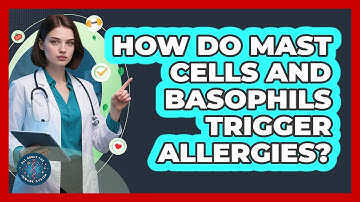 How Do Mast Cells And Basophils Trigger Allergies? - All About the Immune System