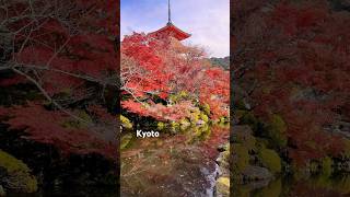 I Came for the Temple… but the Fall Colors Stole the Show 🍁🇯🇵
