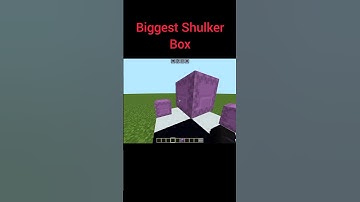 Biggest Shulker box illusion #shorts #minecraft