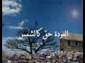 العودة حق كالشمس..
