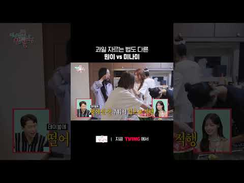 <strong>멜론</strong> 자르는 미나미 앞에 수박 원이 출현 ㅋㅋㅋㅣTVINGㅣ#전지적참견시점