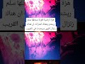 بوز فلو مقود بوز فلو مقود