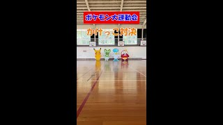 【公式】ポケモンかけっこ大会!?