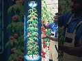 Digital Twin Farming — The Smartest Way to Grow.”🌾💻🤖