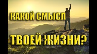 В ЧЁМ СМЫСЛ ЖИЗНИ И ЕСТЬ ЛИ ОН ВООБЩЕ?