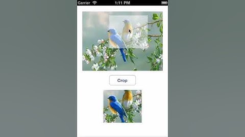 Crop UIImage from Another UIImage in IOS