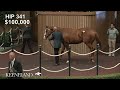 Hip 341, Justify - New Narration, sells for $1.95 Million at 2026 Keeneland September