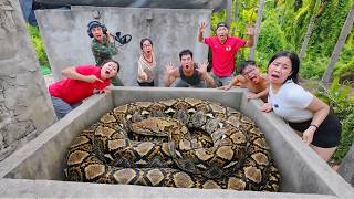 Brave Expert Rescues Young Girl from Two Giant Pythons in Abandoned House